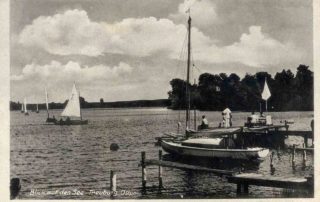 Białe „skrzydła” na jeziorze.