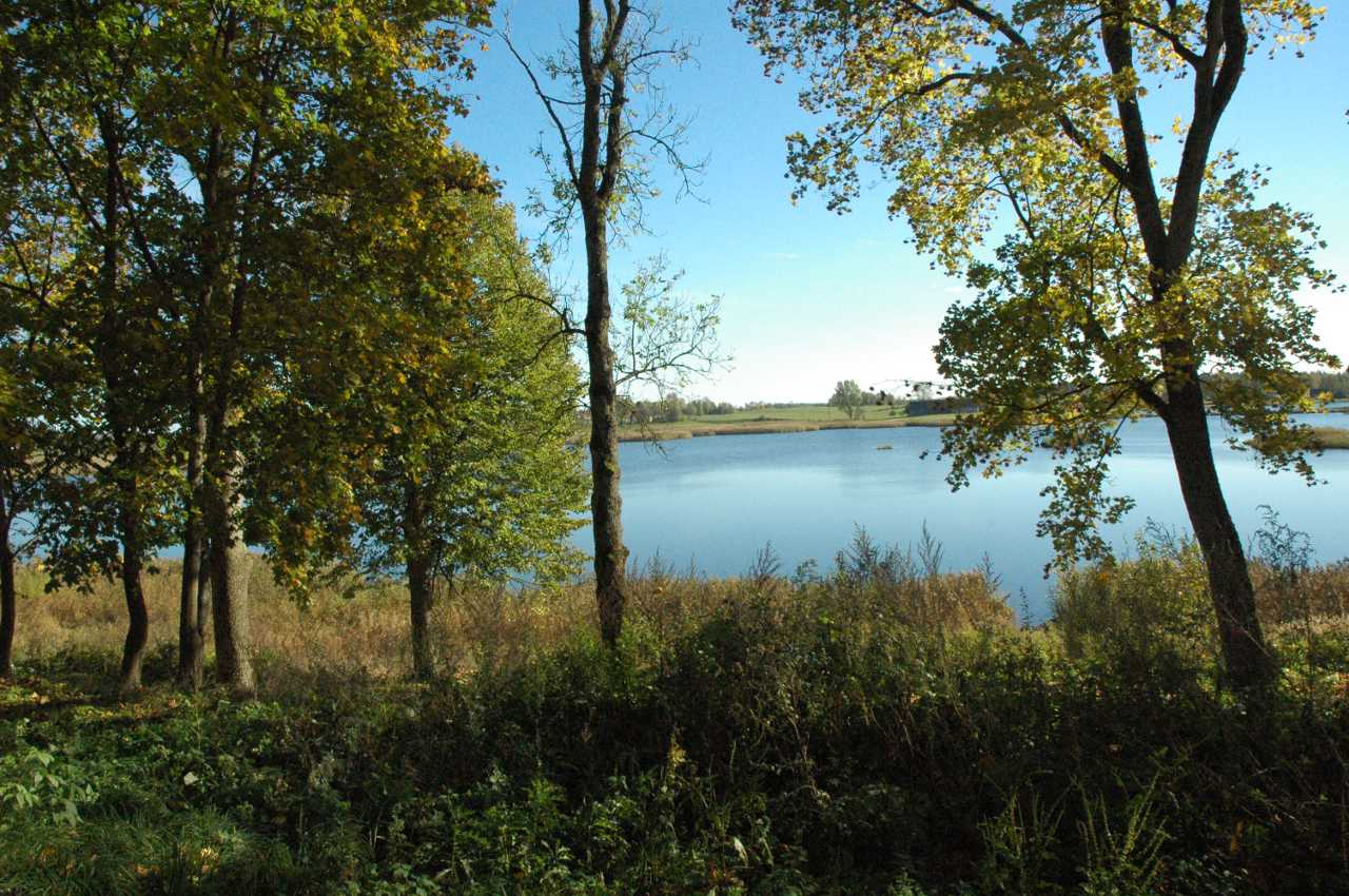 Widok na jezioro przy pałacu w Białej Oleckiej.